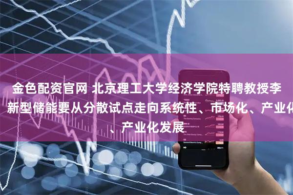 金色配资官网 北京理工大学经济学院特聘教授李金铠：新型储能要从分散试点走向系统性、市场化、产业化发展