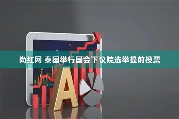 尚红网 泰国举行国会下议院选举提前投票