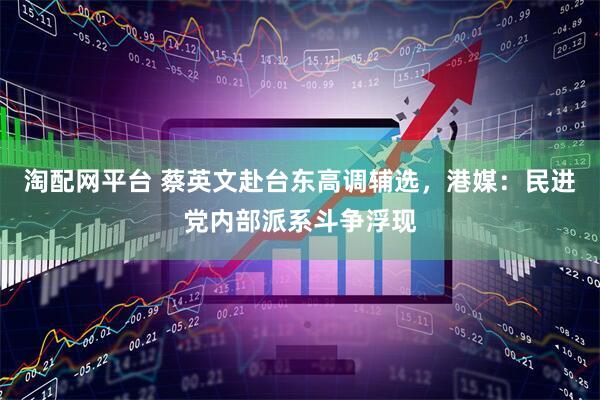 淘配网平台 蔡英文赴台东高调辅选，港媒：民进党内部派系斗争浮现